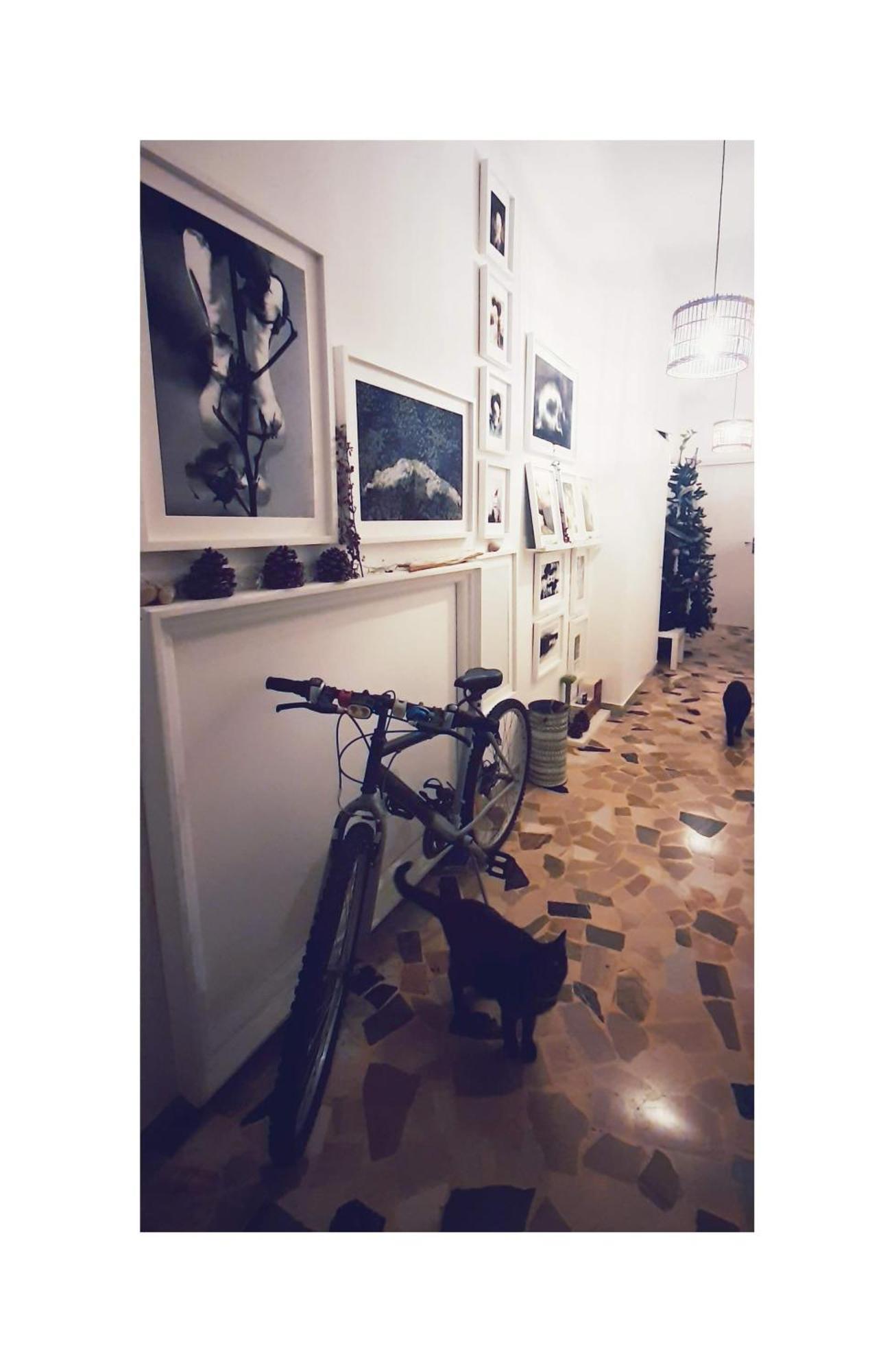 Ab Ovo Bed & Breakfast Cagliari Exterior photo